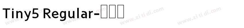 Tiny5 Regular字体转换